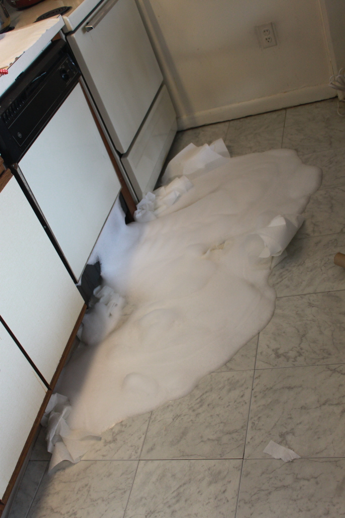 가끔 식기세척기가 이렇게 말썽을 피웠다