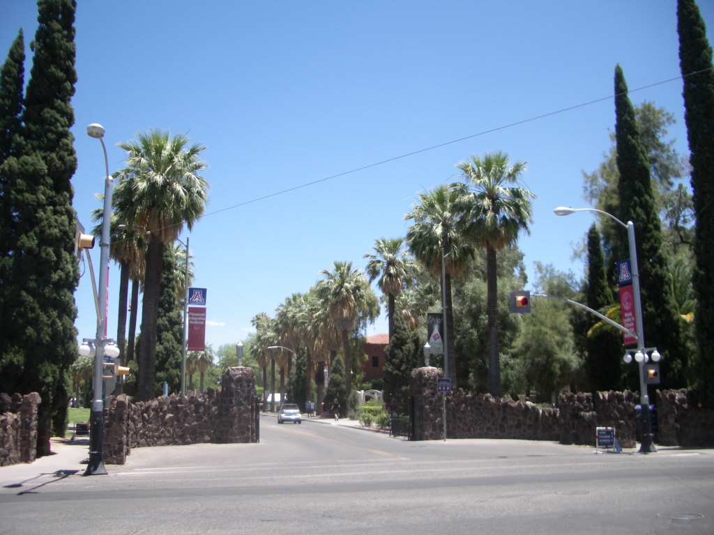 애리조나 대학교(University of Arizona) 정문 전경
